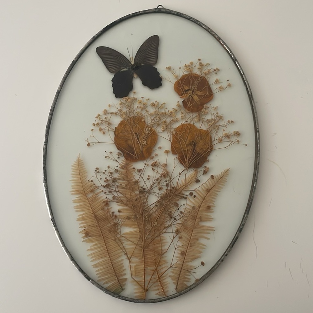 Wall Art dried butterflies and flowers Set of 2